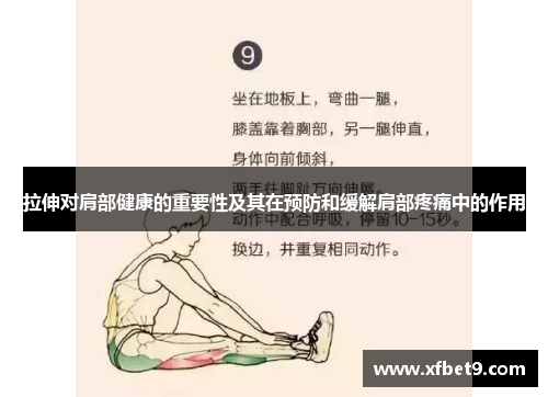 拉伸对肩部健康的重要性及其在预防和缓解肩部疼痛中的作用